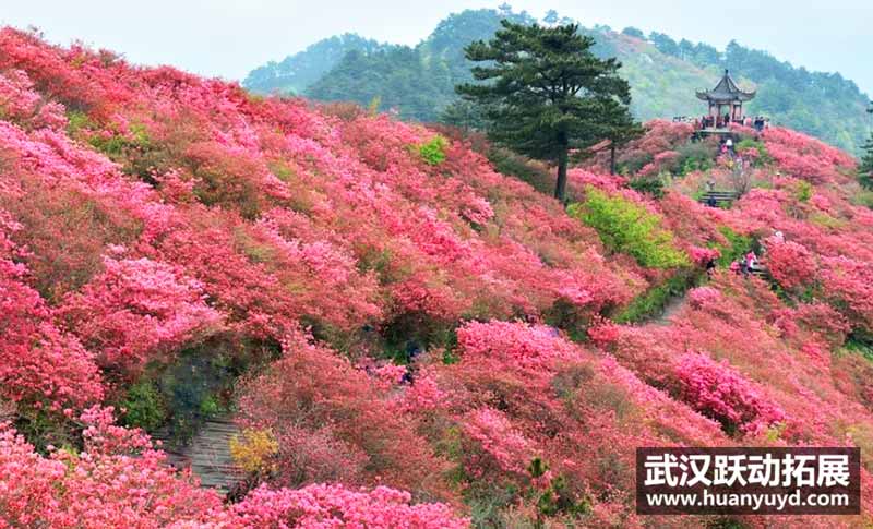 麻城拓展基地